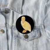 愛らしく黄色い子ガモのクローズアップの写真 缶バッジ (インサイチュ)