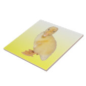 愛らしく黄色い子ガモの写真 タイル (側面)