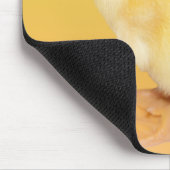 愛らしく黄色い子ガモの写真 マウスパッド (コーナー)