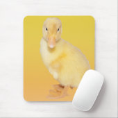 愛らしく黄色い子ガモの写真 マウスパッド (マウス)