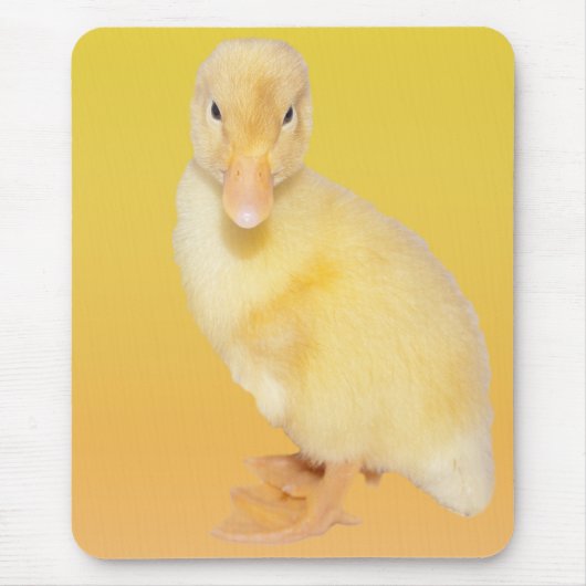 愛らしく黄色い子ガモの写真 マウスパッド (正面)