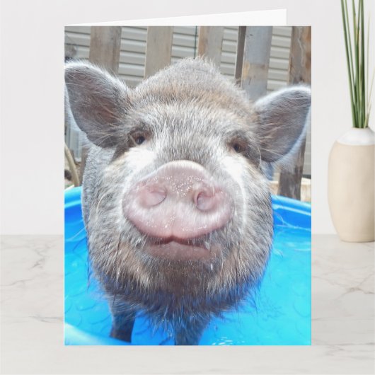 愛らしパーソナライズされたいミニPigグリーティングカード、 カード (正面)