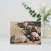 愛を作る ポストカード (スタンド正面)