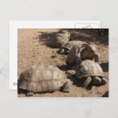 愛を作る ポストカード (正面/裏面)