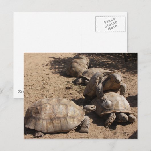 愛を作る ポストカード (正面/裏面)