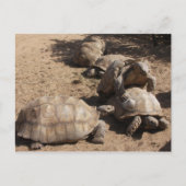 愛を作る ポストカード (正面)