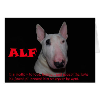 愛を受け入れているALF