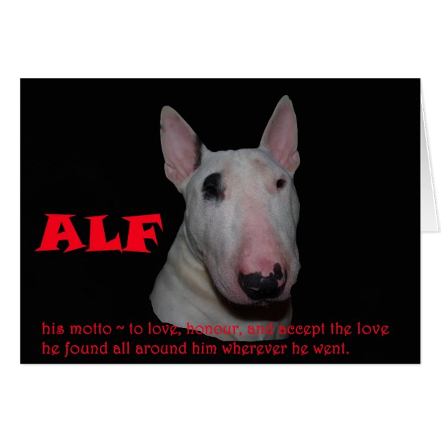 愛を受け入れているALF (正面横)
