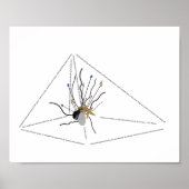 愛を広める伝染病の流行詩を害しない ポスター (正面)