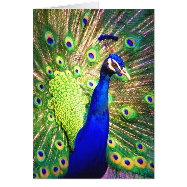 愛を広める (正面)