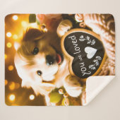 愛を広める：ゴールデンレトリバーと"愛されている" シェルパブランケット (正面(横))