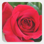 愛を思い出す スクエアシール (正面)