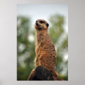 愛を探す ポスター (正面)