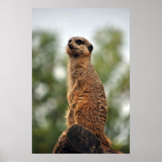 愛を探す ポスター