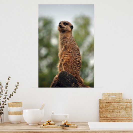 愛を探す ポスター (キッチン)