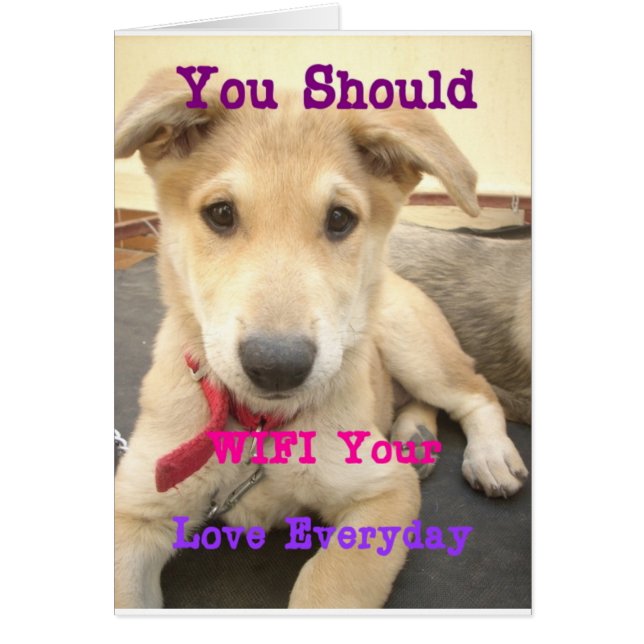 愛を日々伝えたい (正面)