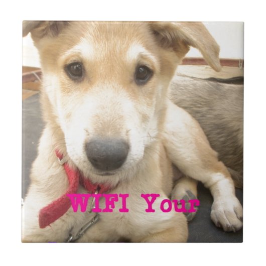 愛を日々伝えたい タイル (正面)