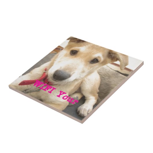 愛を日々伝えたい タイル (側面)