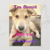 愛を日々伝えたい ポストカード (正面)