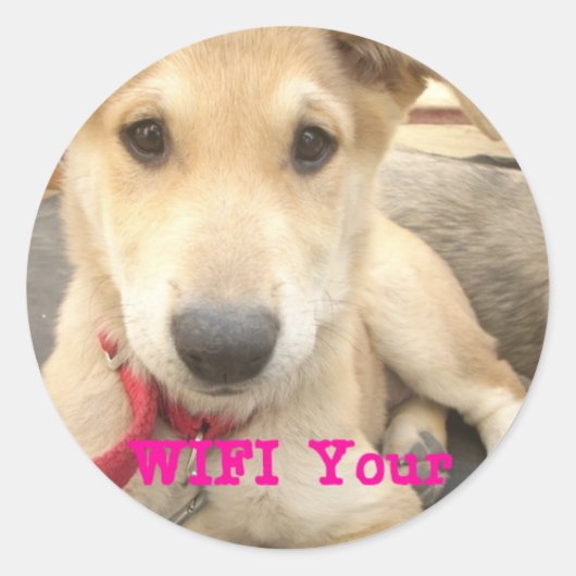 愛を日々伝えたい ラウンドシール (正面)