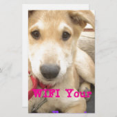 愛を日々伝えたい 便箋 (正面/裏面)