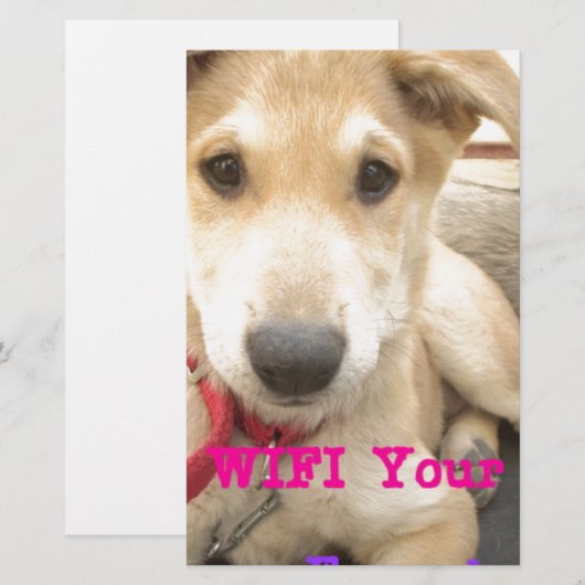 愛を日々伝えたい 便箋 (正面/裏面)