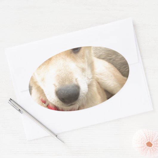 愛を日々伝えたい 楕円形シール (封筒)