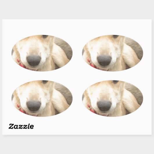 愛を日々伝えたい 楕円形シール (シート)