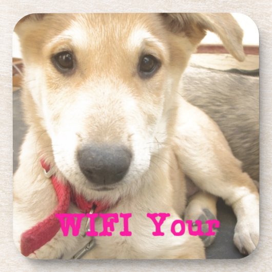 愛を毎日シェアしよう コースター (正面)