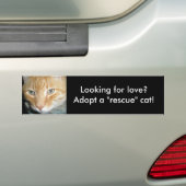 愛を求める場合は、レスキュー猫バンパーステッカーを採用 バンパーステッカー (車上)