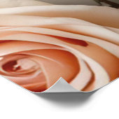 愛エレガント物語引用文とバラ ポスター (角)