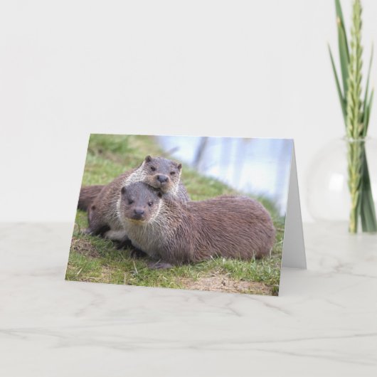 愛カードのOtterly カード (正面)