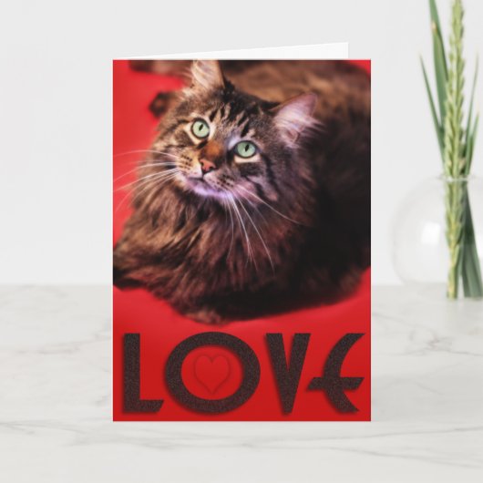 愛カード シーズンカード (正面)