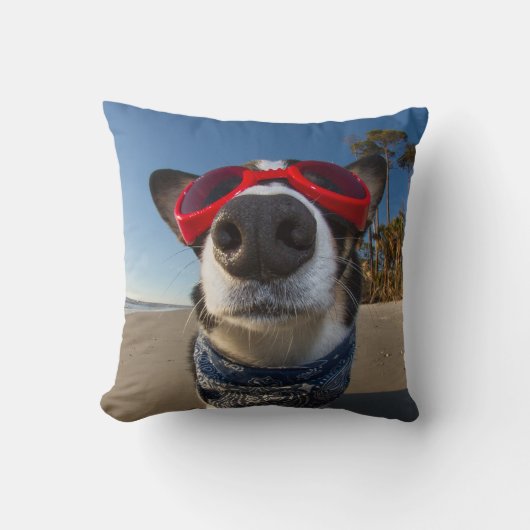 愛ゴーグル クッション (正面)