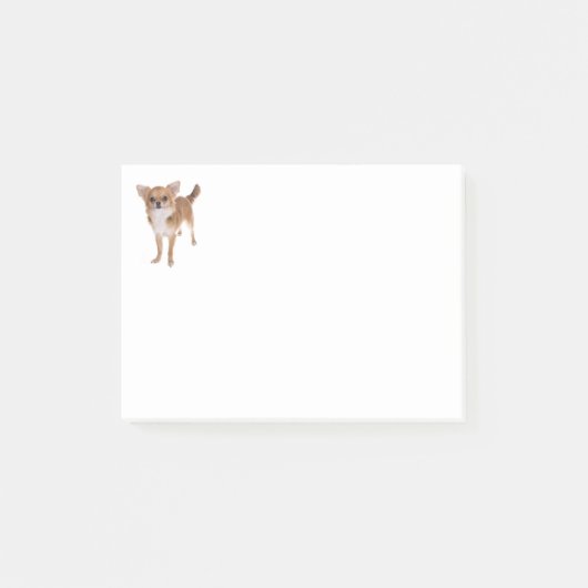 愛チワワの小犬のポスト・イットの付箋 ポストイット (正面)