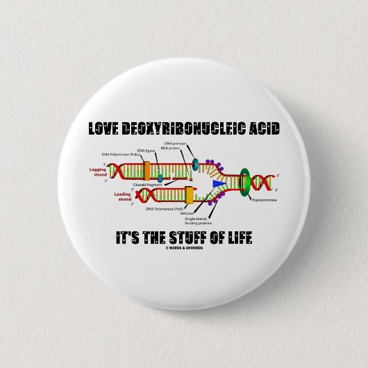 愛デオキシリボ核酸それは生の実体です 缶バッジ (正面)