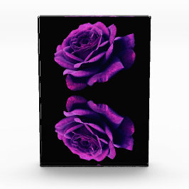 愛バラ フォトブロック