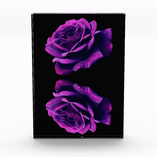 愛バラ フォトブロック (正面)