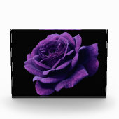 愛バラ フォトブロック (正面)