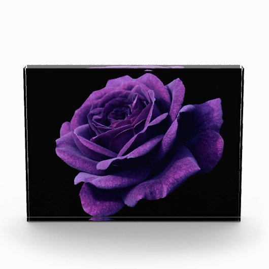 愛バラ フォトブロック (正面)