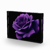 愛バラ フォトブロック (右)