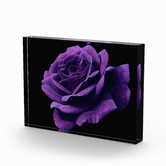 愛バラ フォトブロック (右)