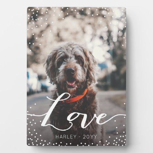 愛パーソナライズされた フォトプラーク (正面)