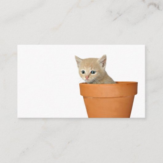 愛プロフィールカードを植えて下さい コーリングカード (正面)