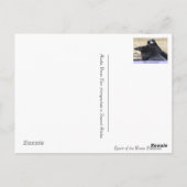 愛ポストカードのグランドラヴェンスを愛しない ポストカード (裏面)