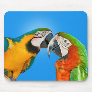 愛マウスパッドのオウム マウスパッド
