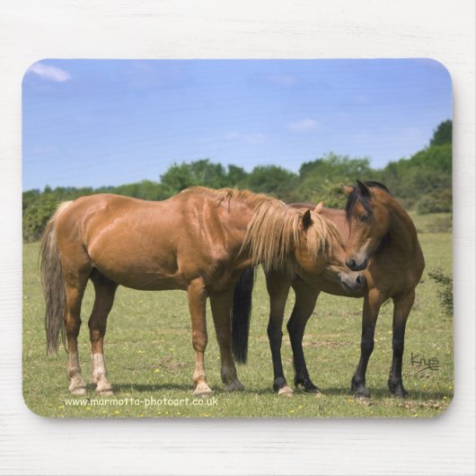 愛マウスマットの子馬 マウスパッド (正面)