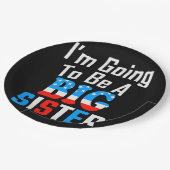 愛国の姉になろうと思う ペーパープレート (アングル)