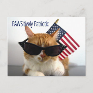 愛国の猫はがき ポストカード