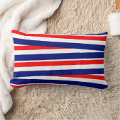 愛国スロー枕 ランバークッション (ブランケット)